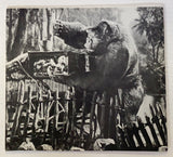 Cinefex January #7 1982 King Kong Universal
